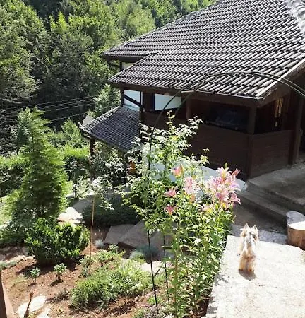 Villa Anna