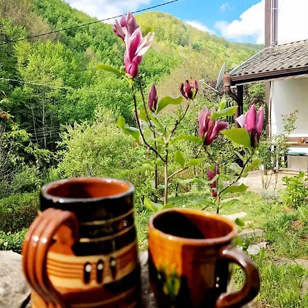 Villa Anna