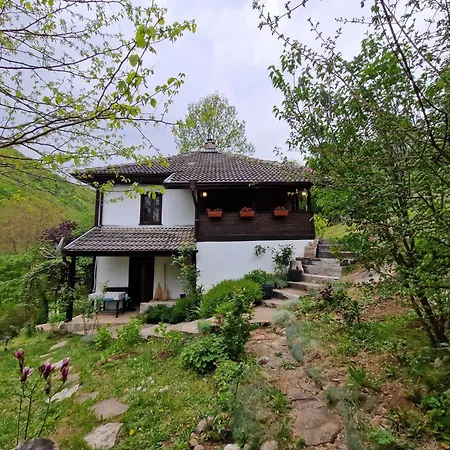Anna Villa Ribarica